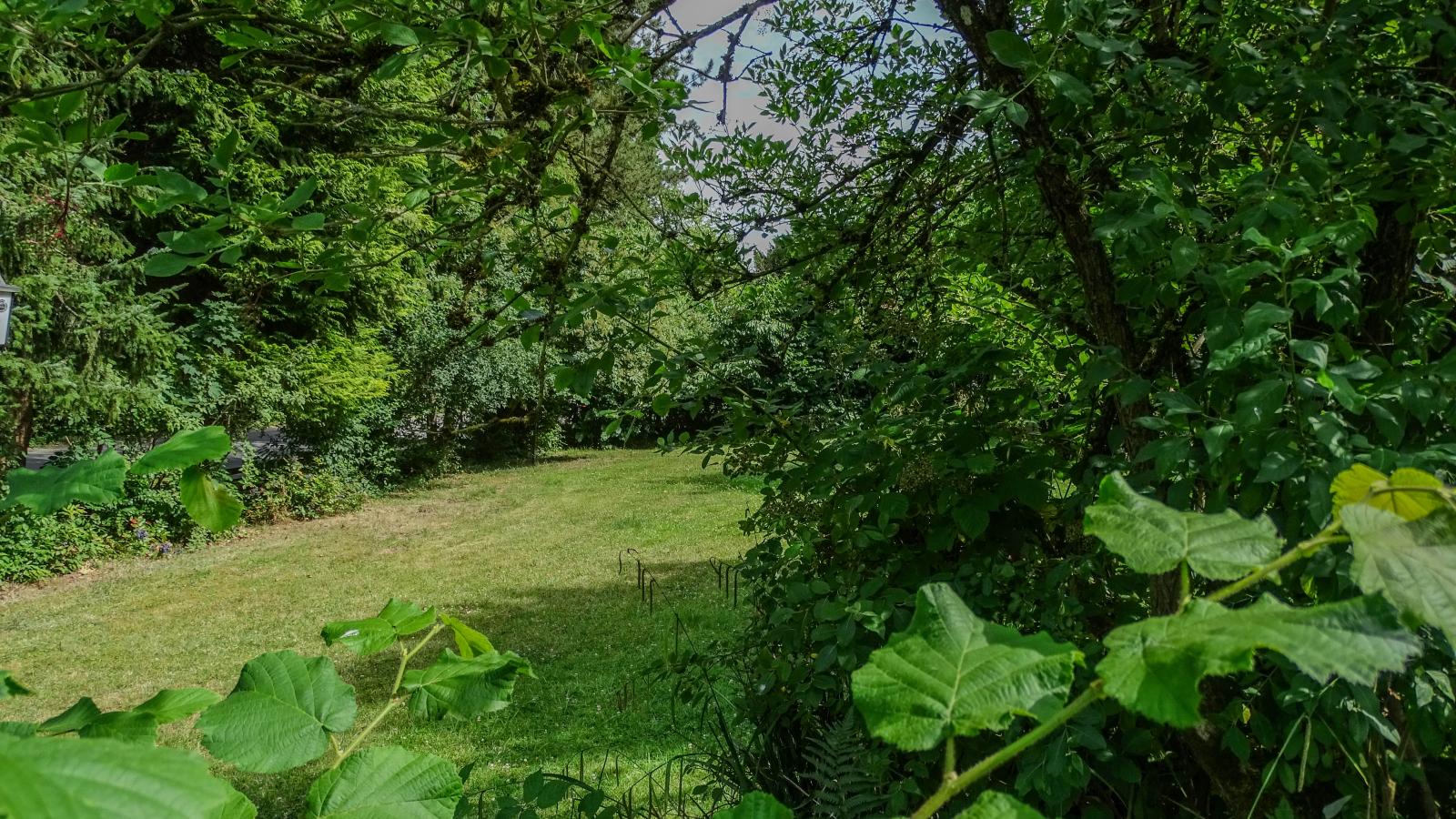 Friedensthal-Tuinen zomer