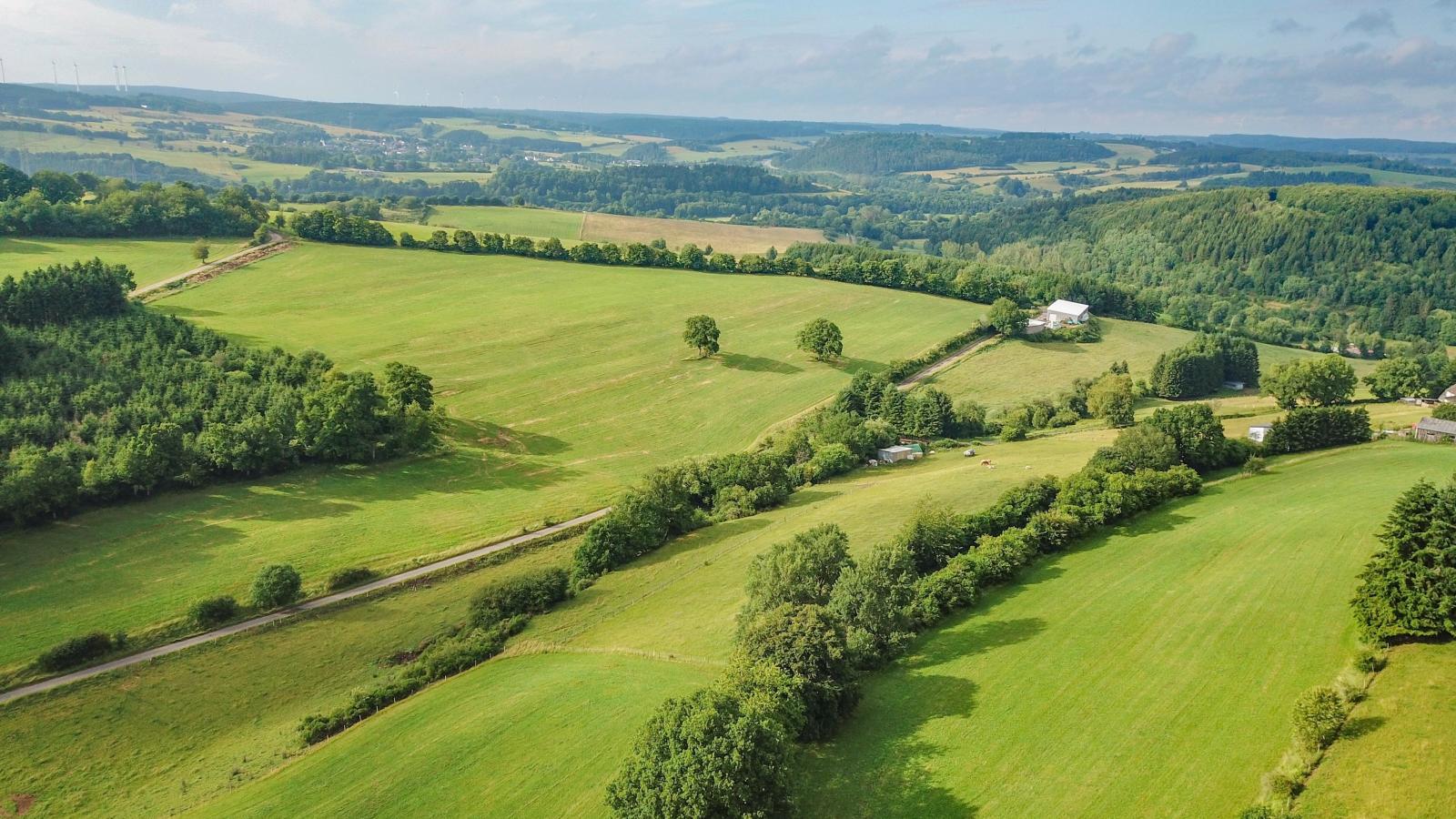 Zauberberg-Areas summer 5km