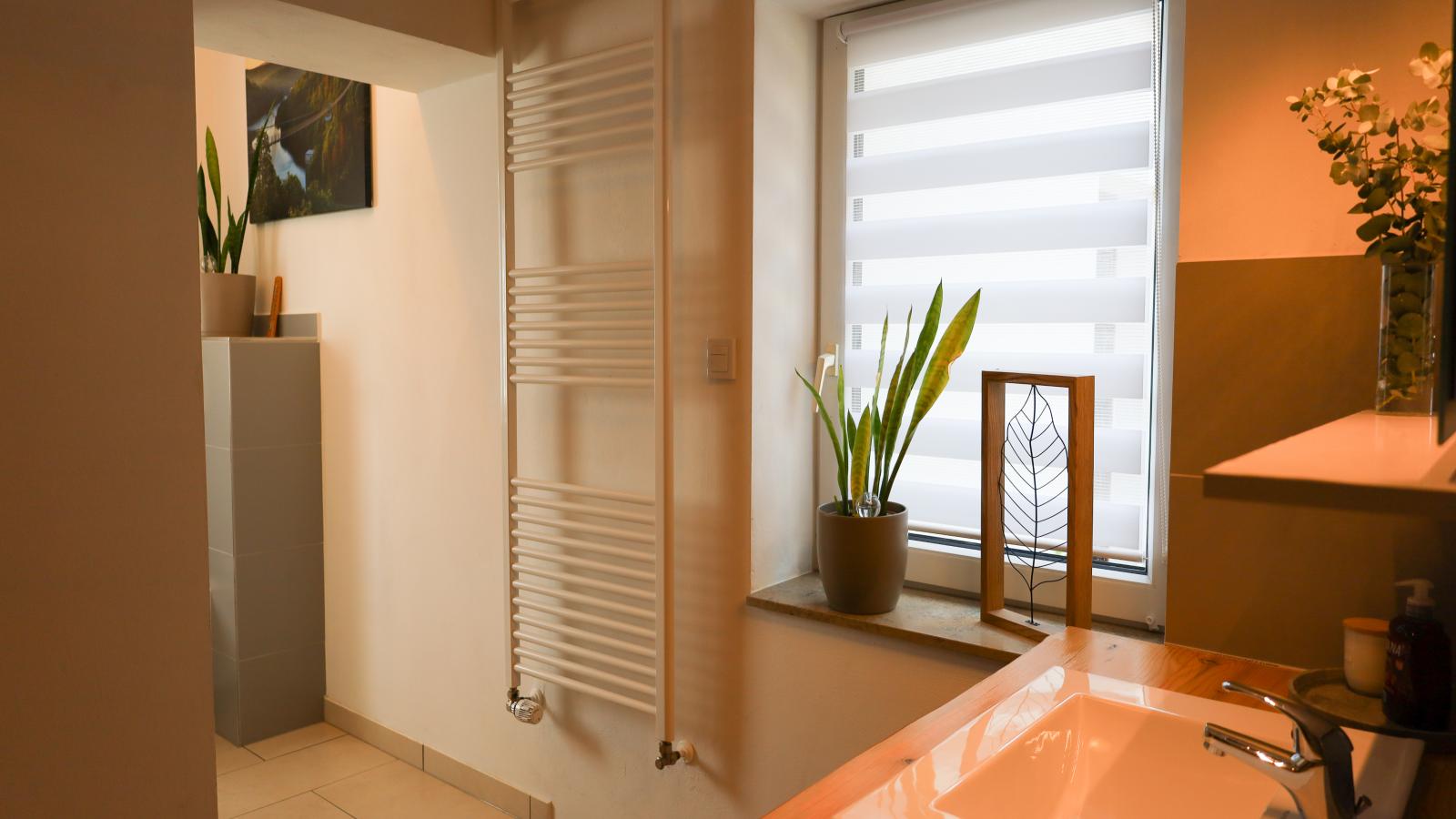 Harzliebe-Bathroom