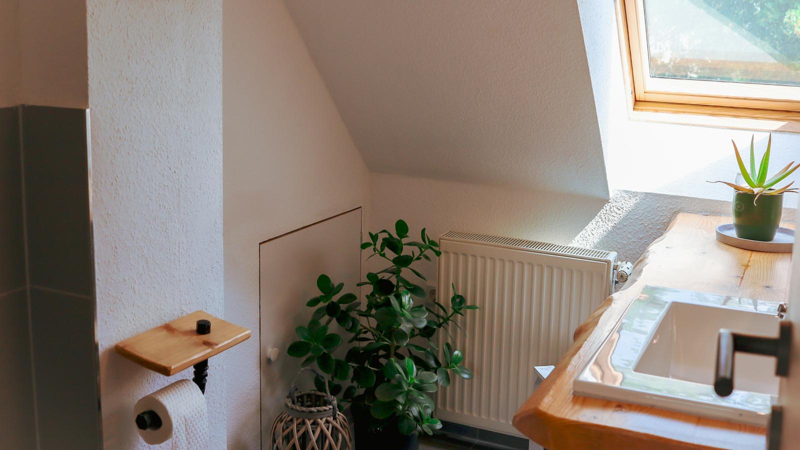 Harzliebe-Bathroom