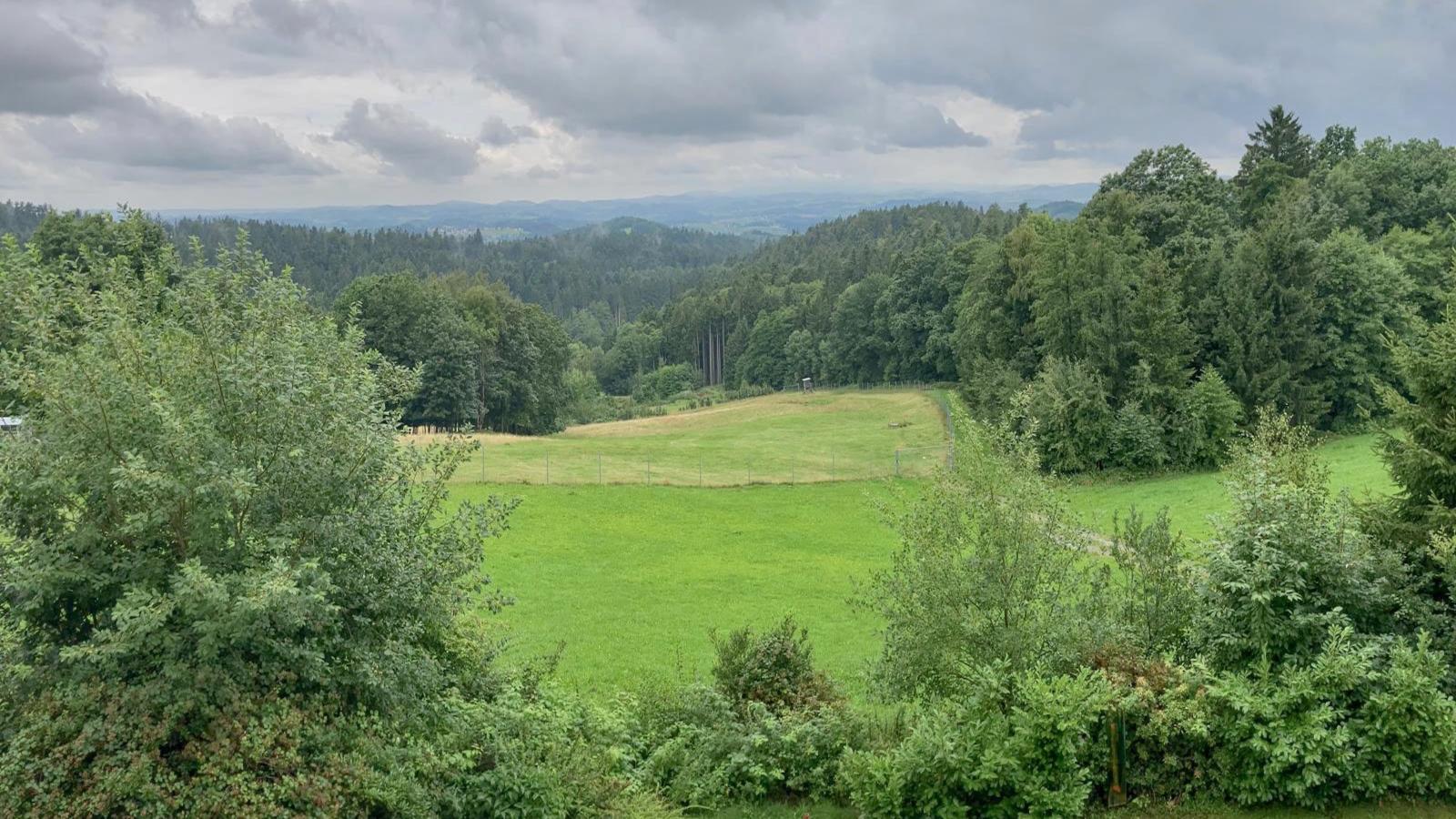 Traudi-Uitzicht zomer