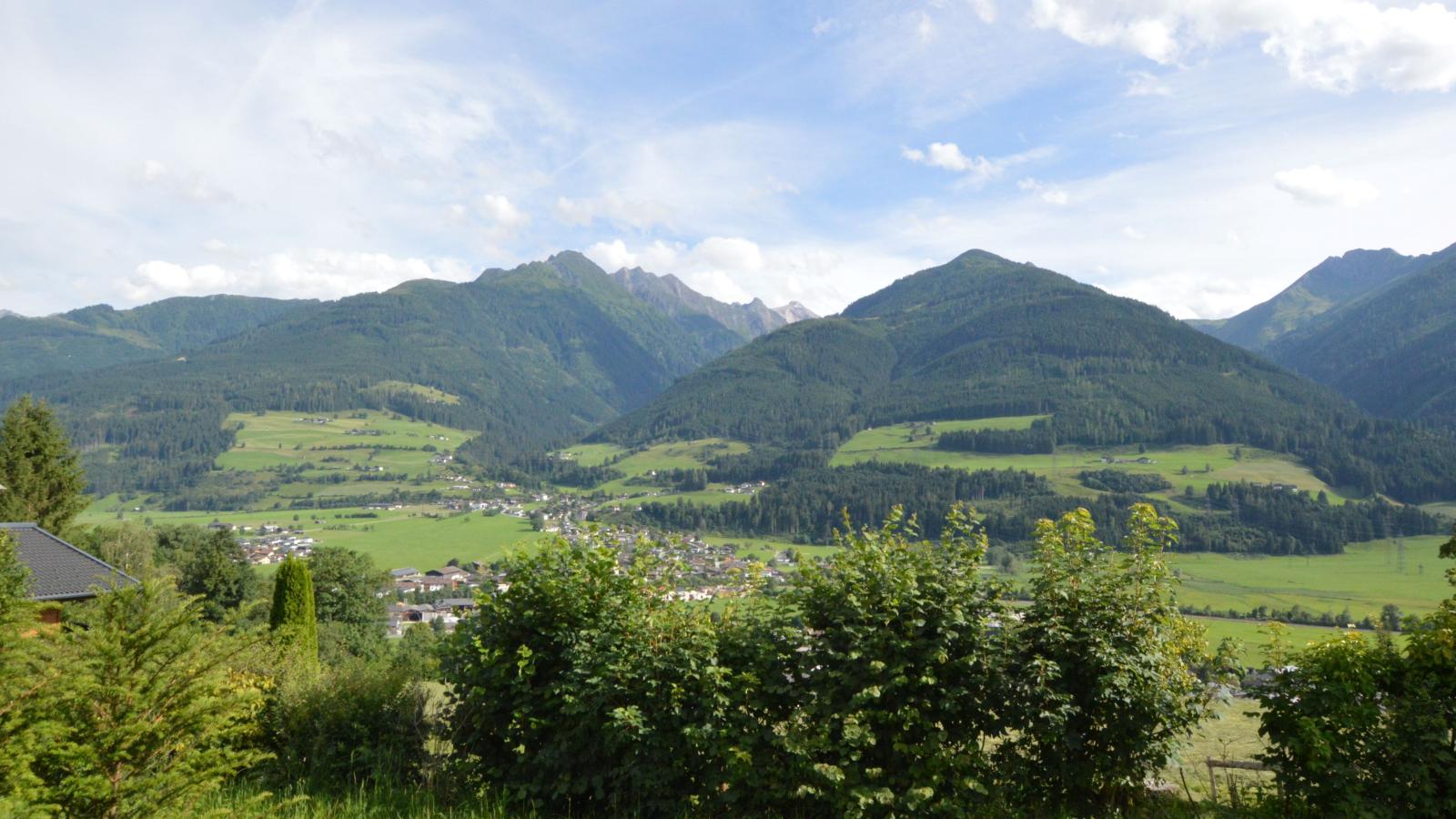 Mondholz-Uitzicht zomer