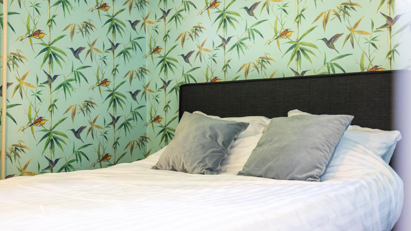 Kolibrie-Chambre