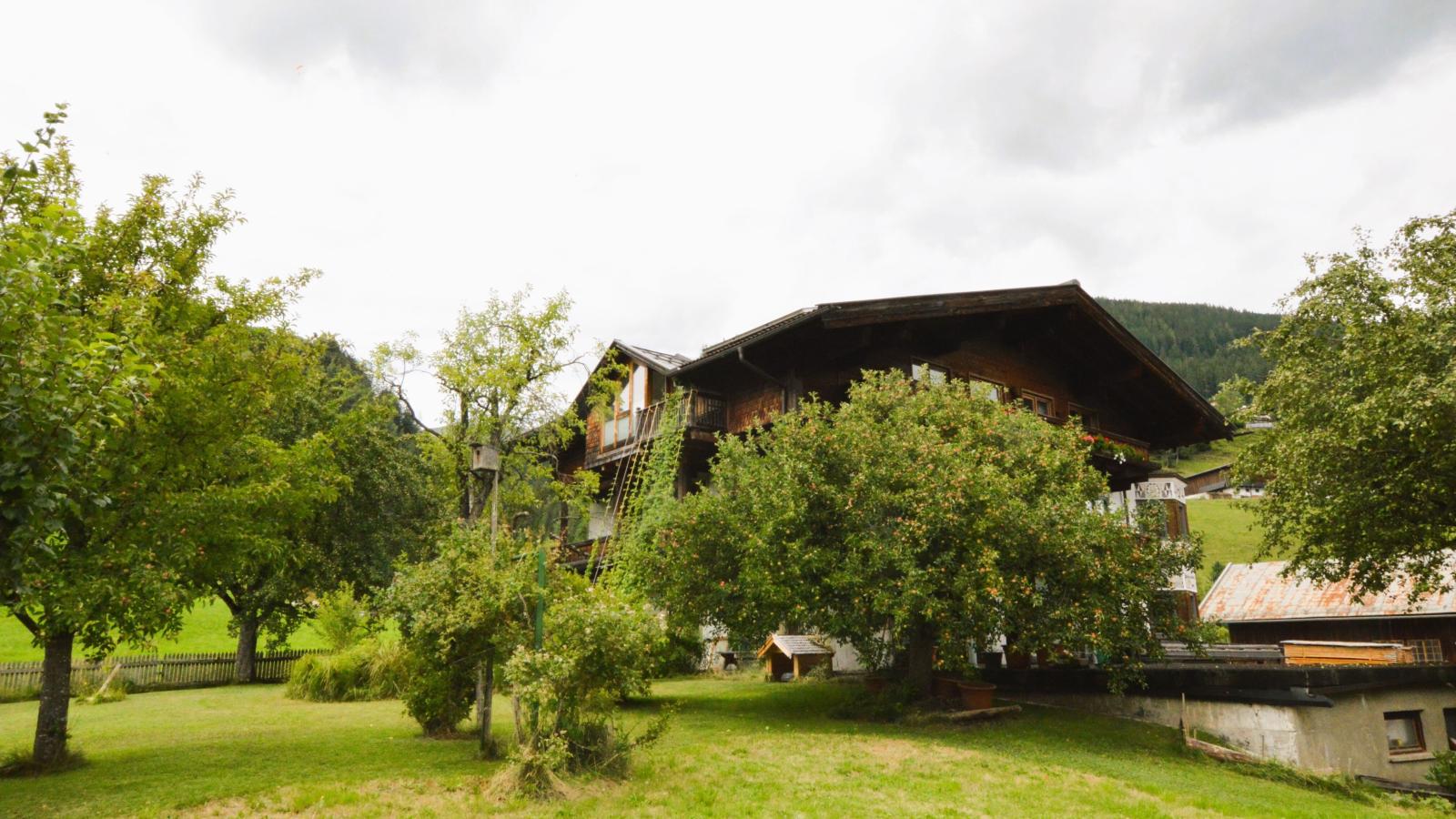 Kaiser-Exterior summer