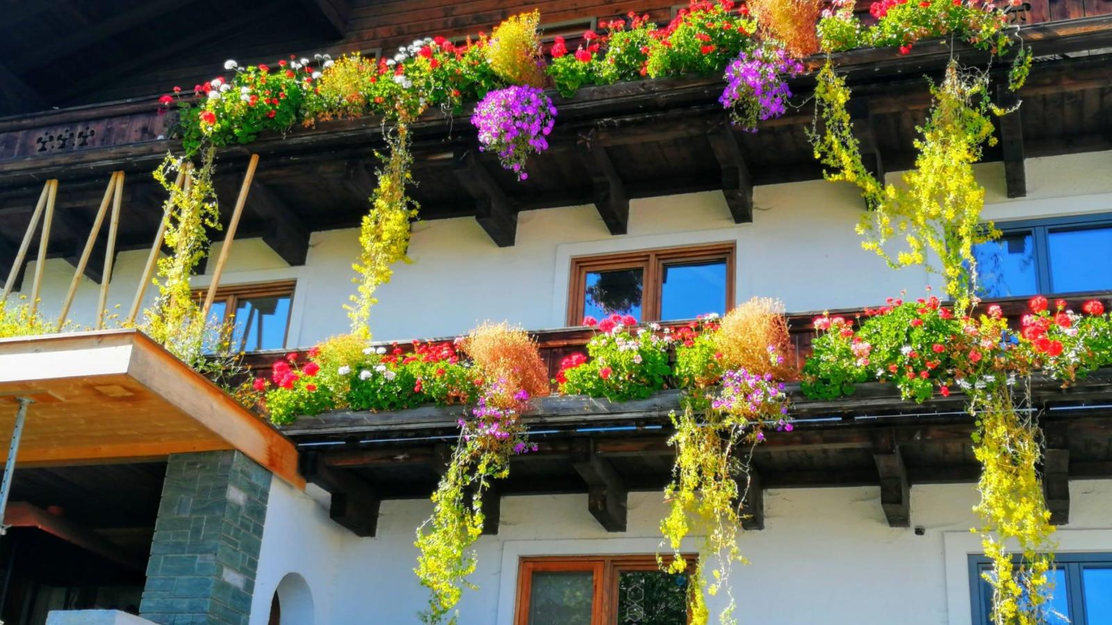 Kaiser-Exterior summer