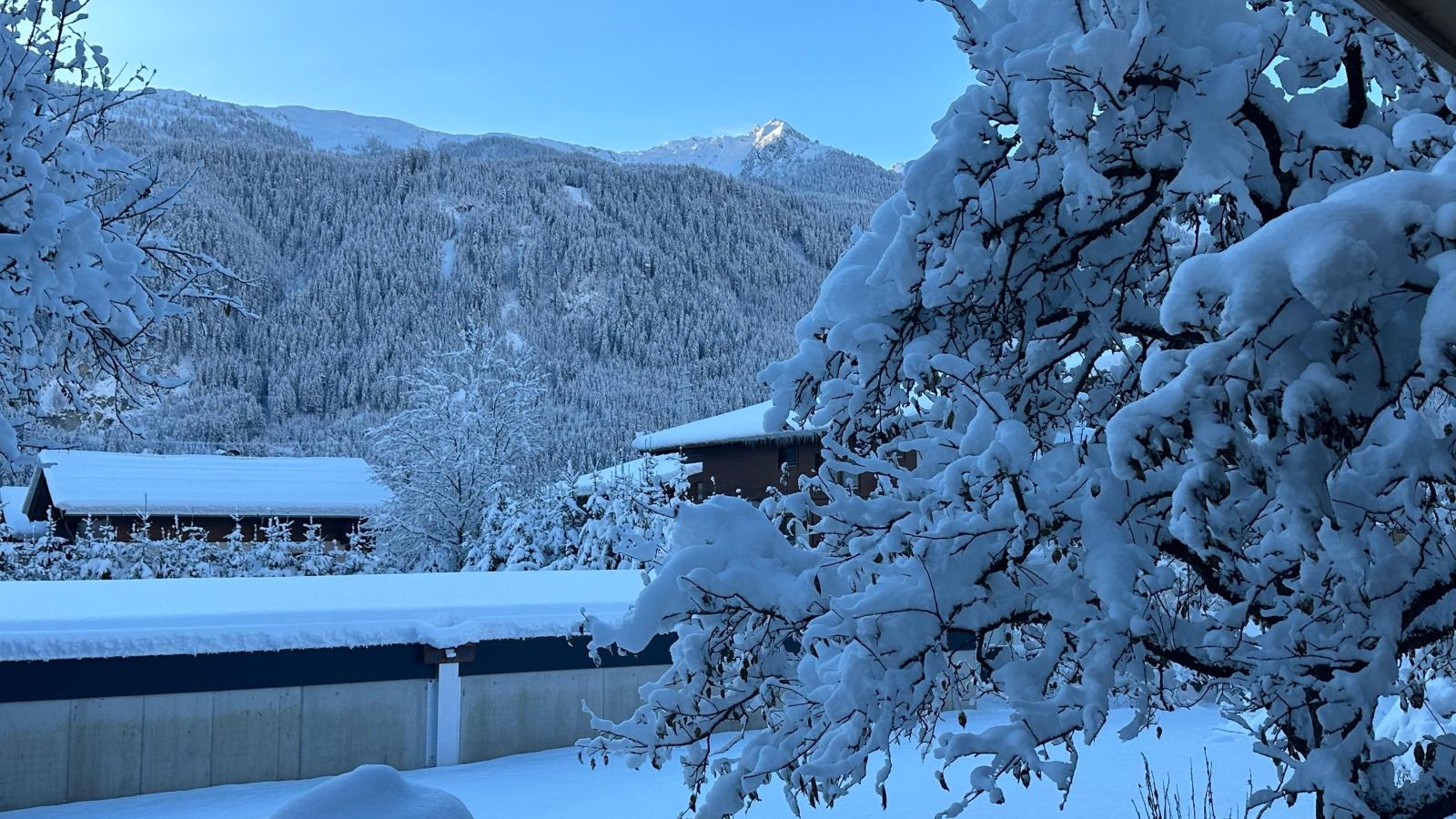 Kaiser-Garden winter
