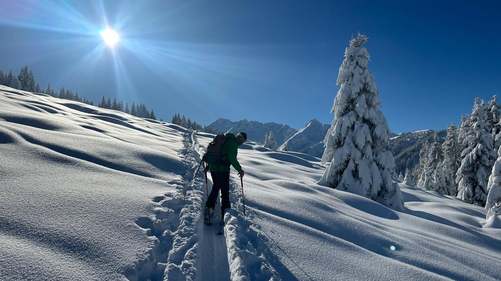 Kaiser-Area winter 5km