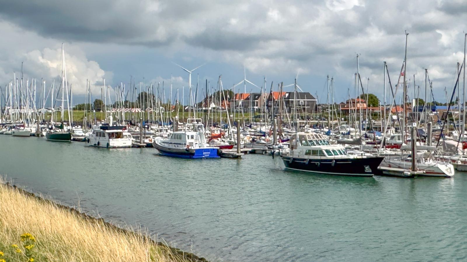 Sea Quality 83-Gebiete Sommer 1 km