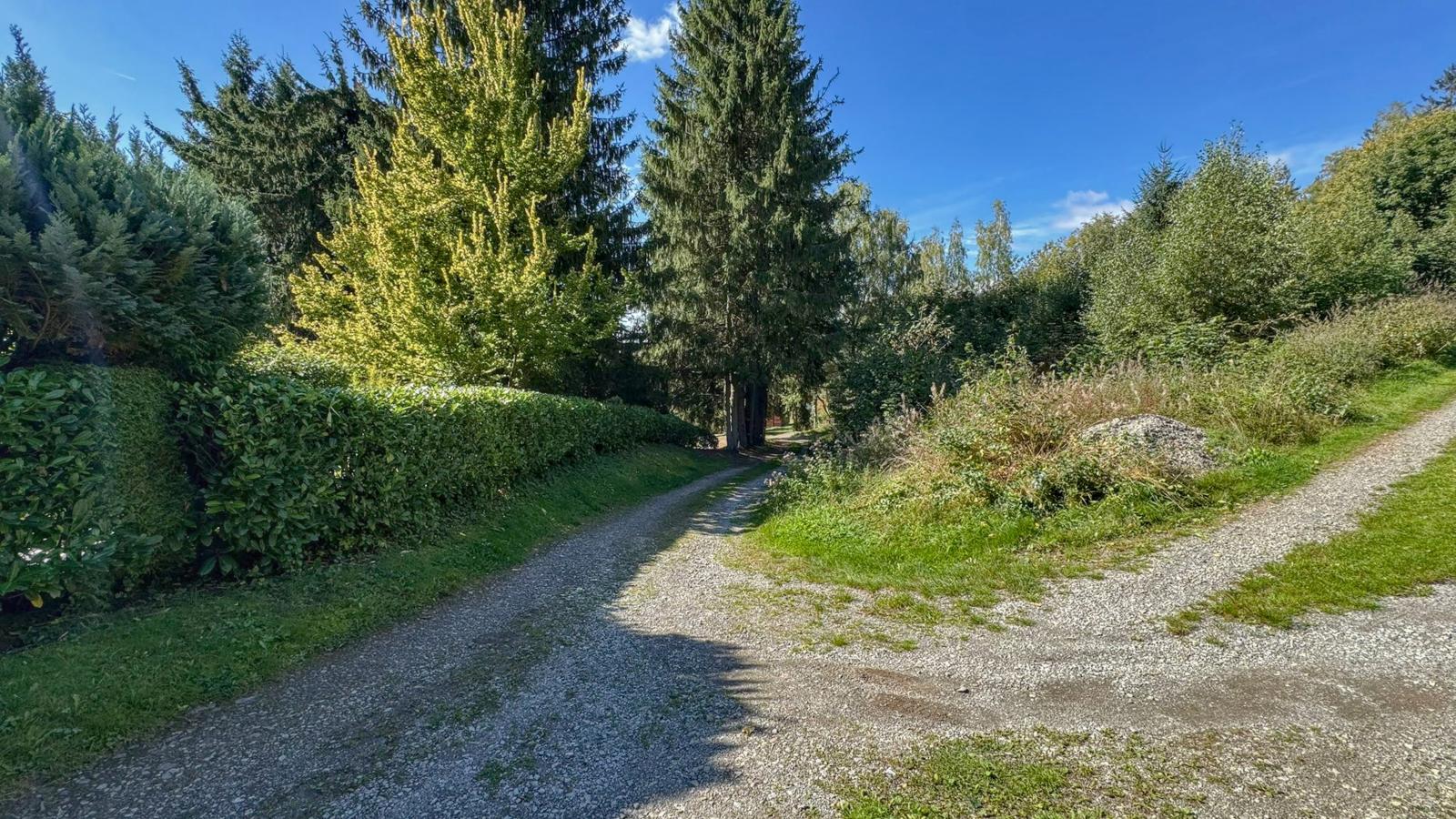 Am Arnsberg-Uitzicht zomer