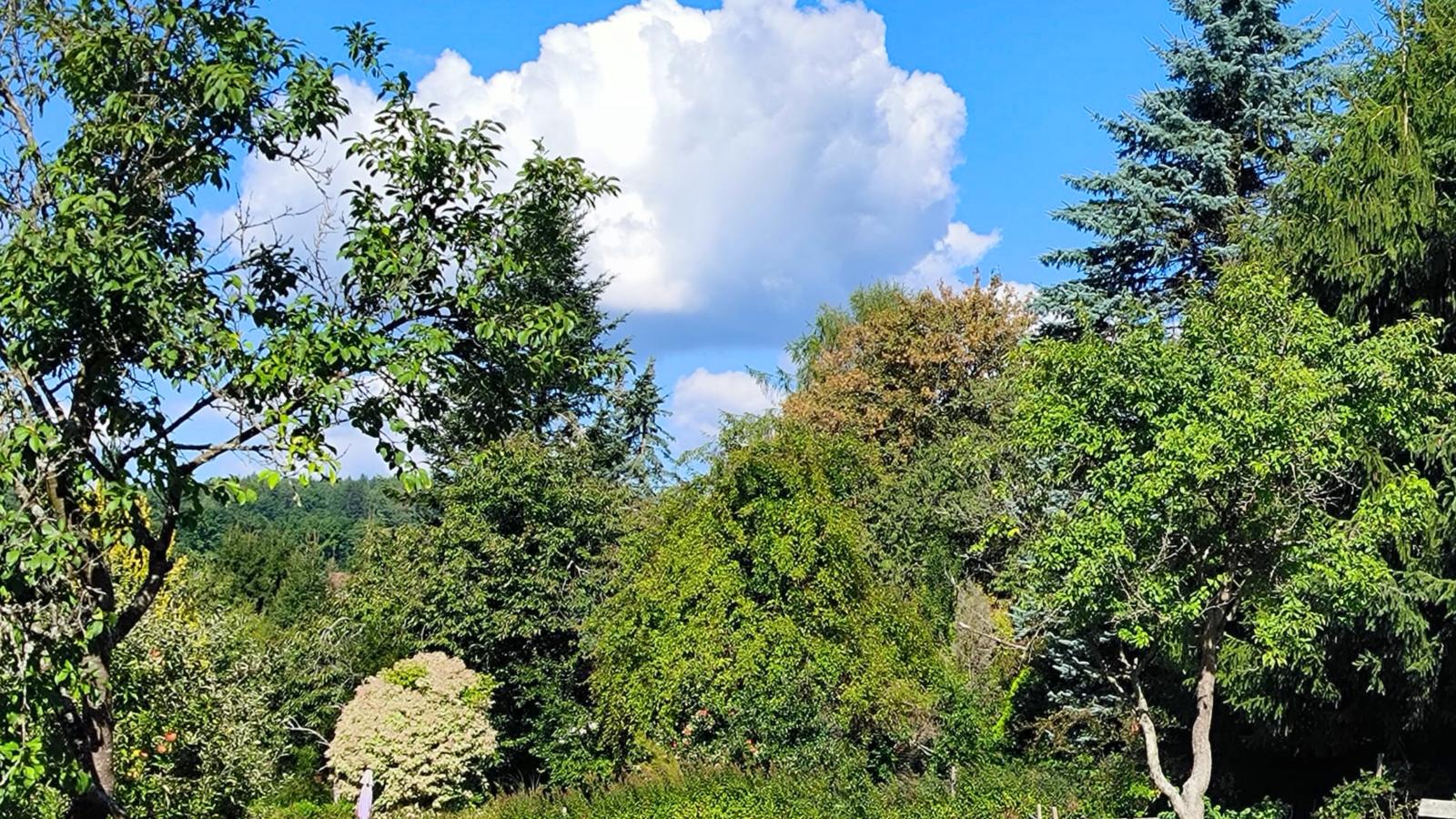 Am Springelbach-Tuinen zomer