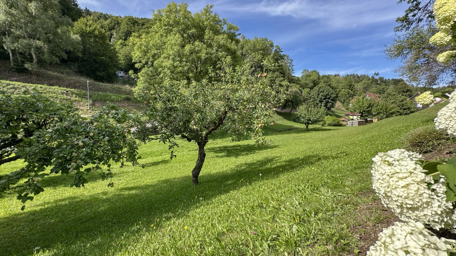Gläserberg-Tuinen zomer