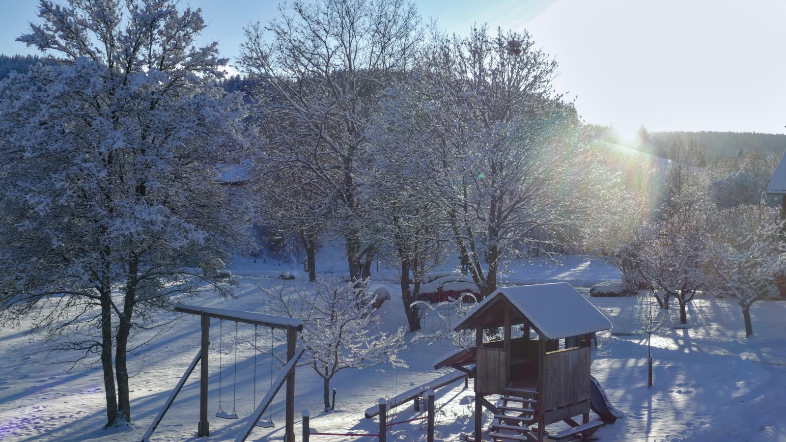 Alte Muehle-Areas within 1km in summer