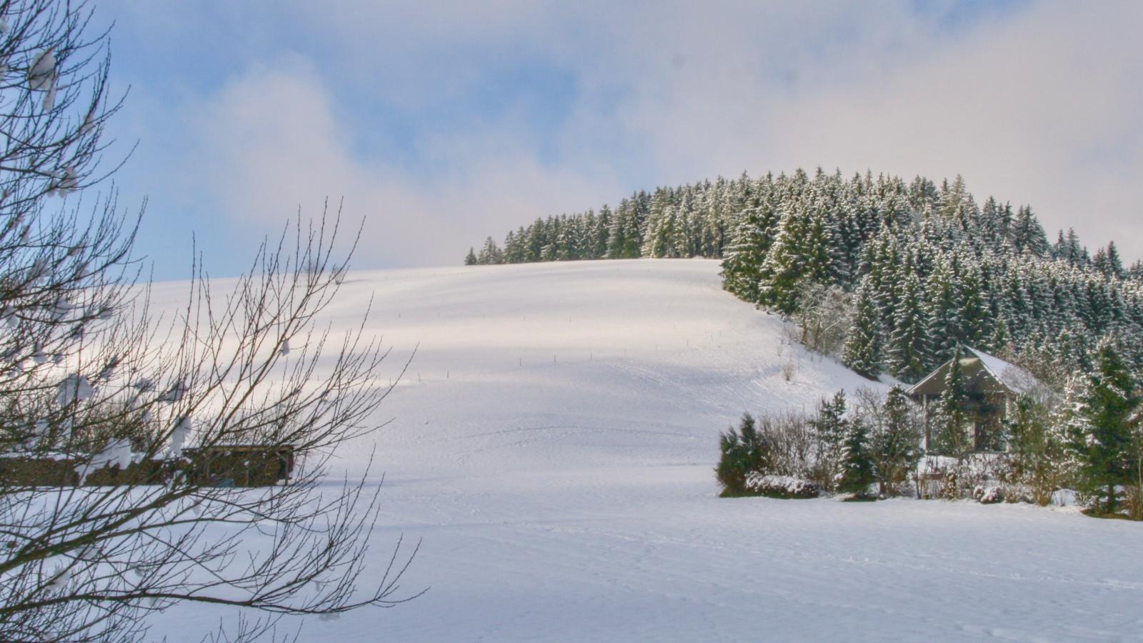 Alte Muehle-Area within 1km in winter