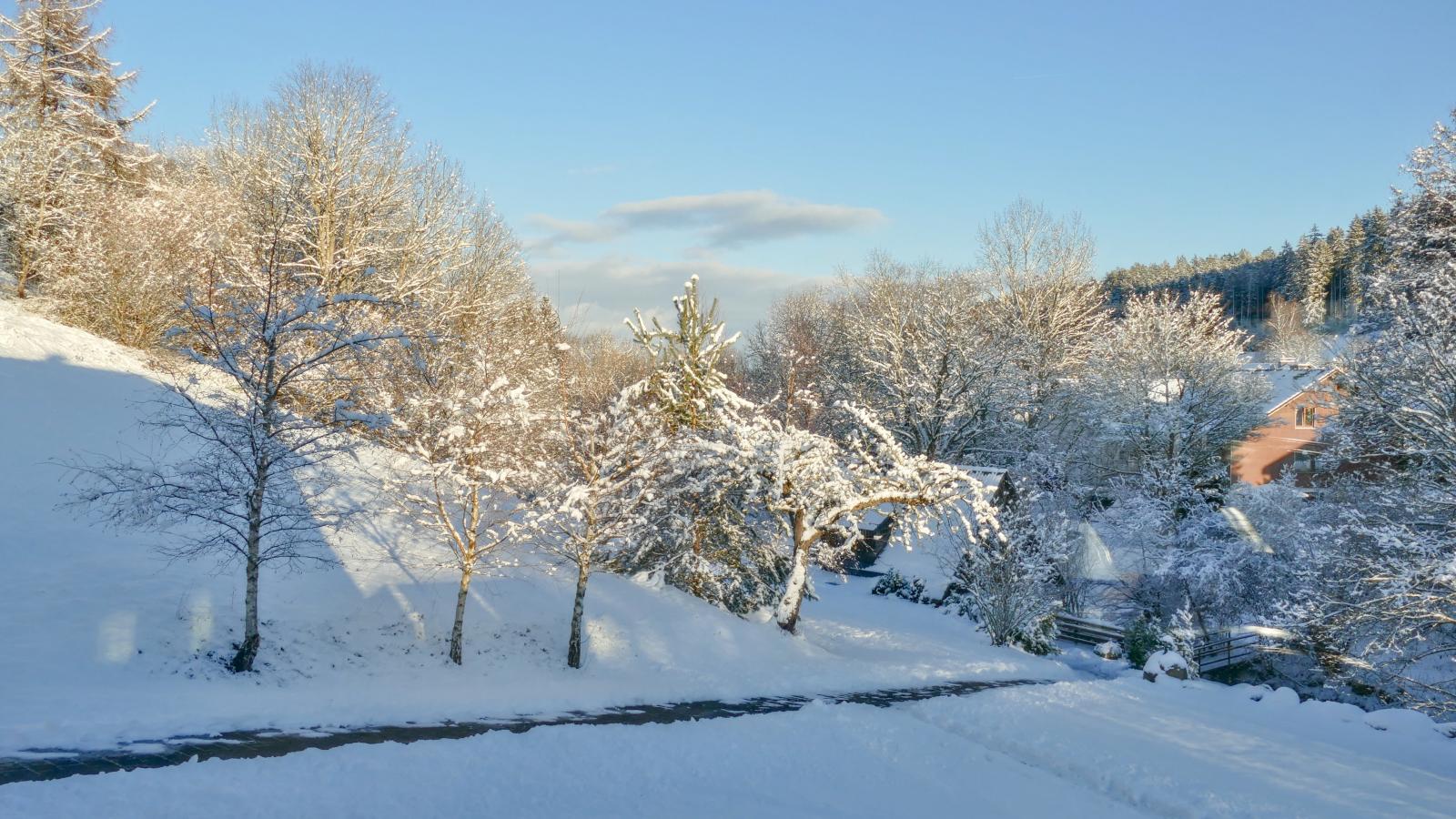 Alte Muehle-View in winter