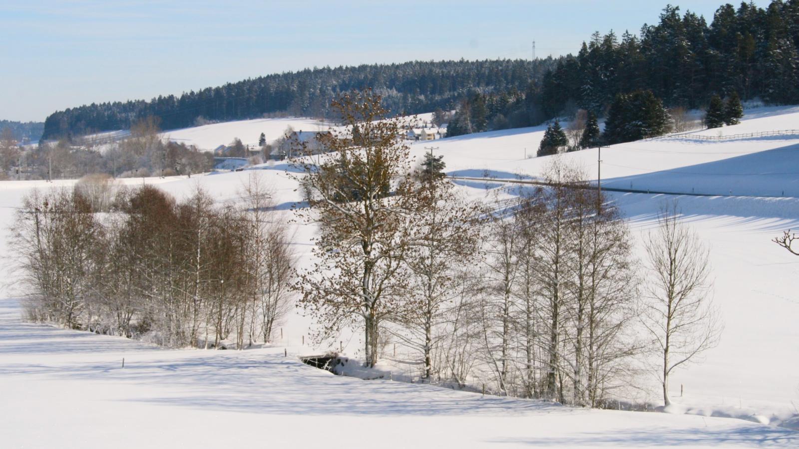 Alte Muehle-Area within 5km in winter