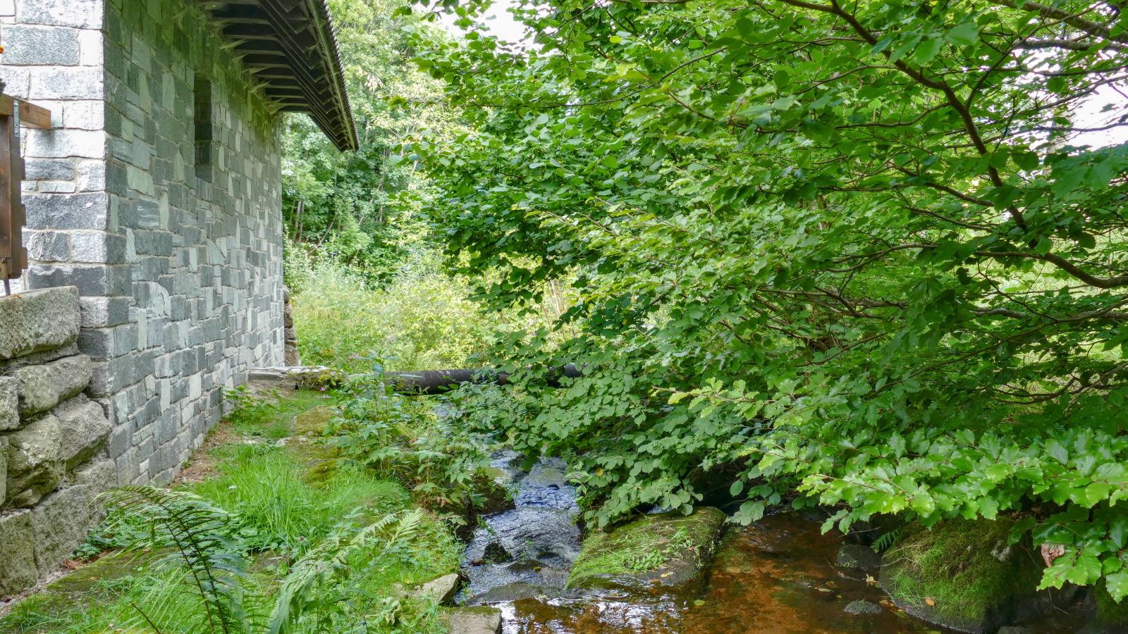 Alte Muehle-View in summer