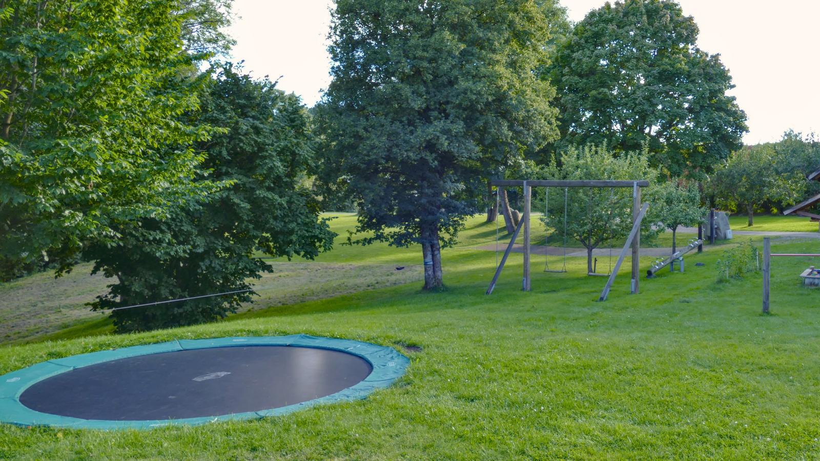 Alte Muehle-Areas within 1km in summer