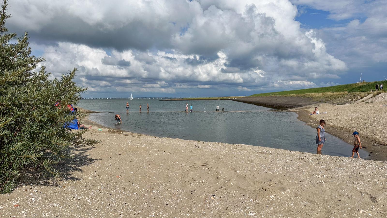 Ocean Ease 49-Areas summer 1km