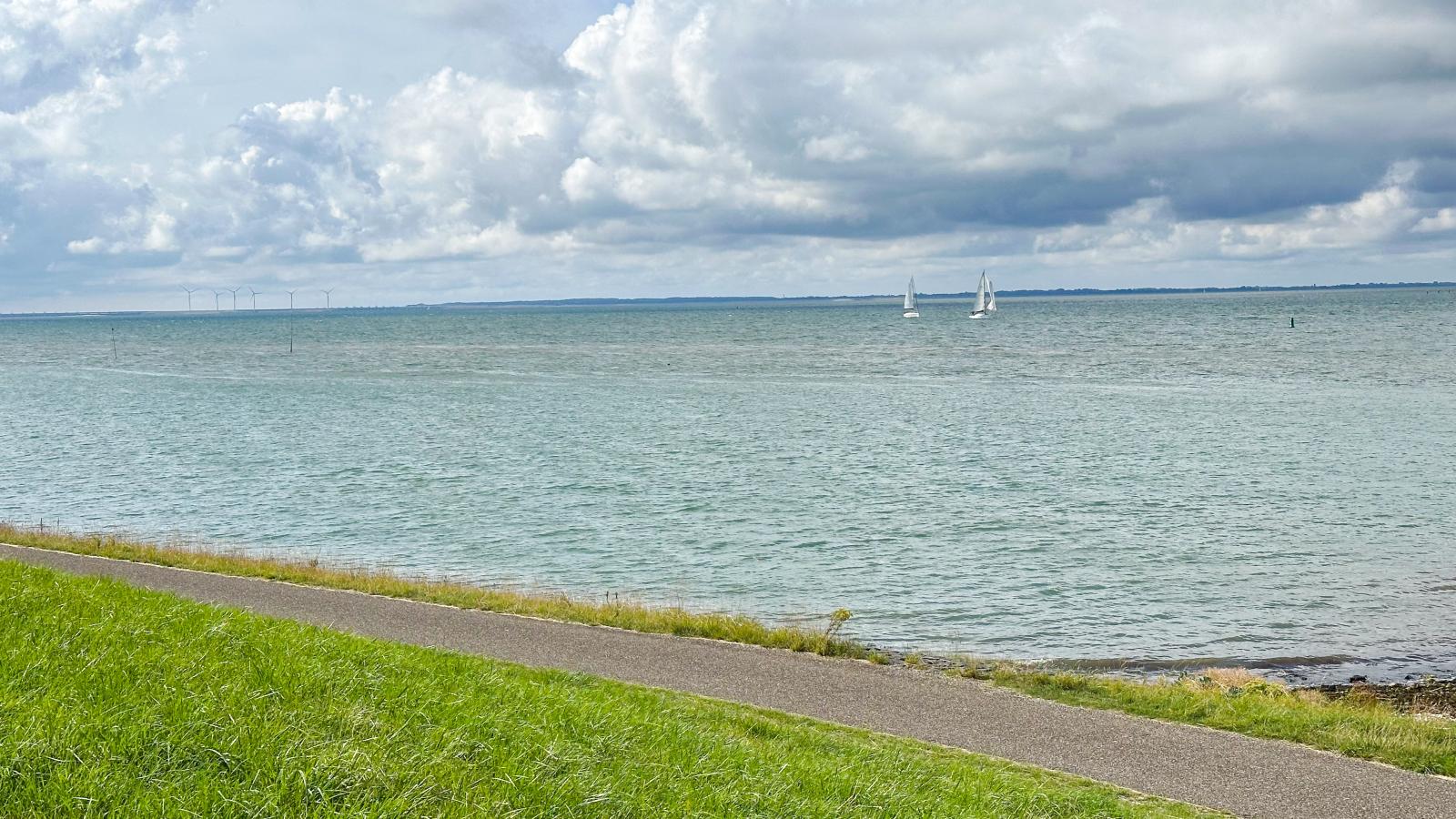 Ocean Ease 49-Areas summer 1km