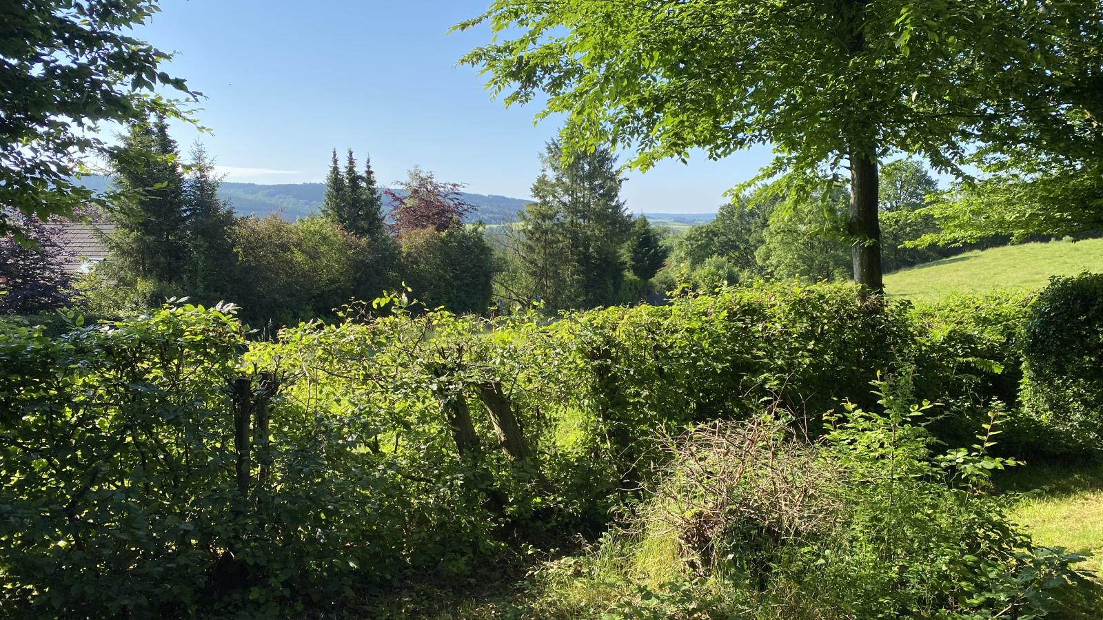 Boogie House-Uitzicht zomer