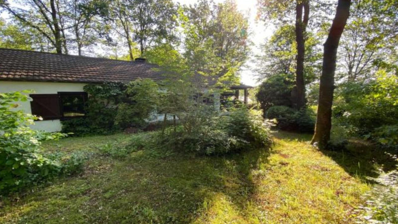 Boogie House-Gardens in summer