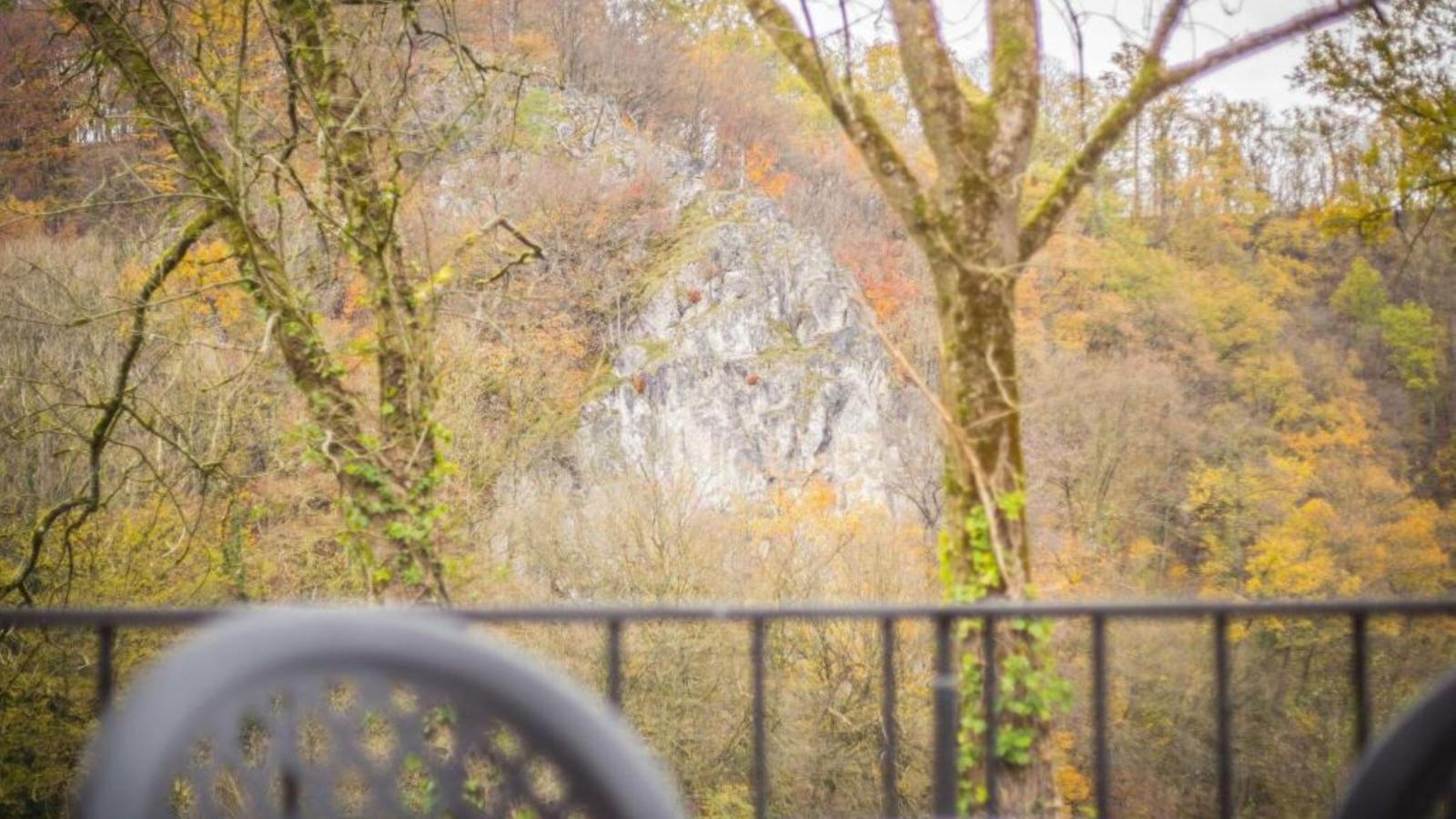 Vue sur Ourthe-Vue d'été