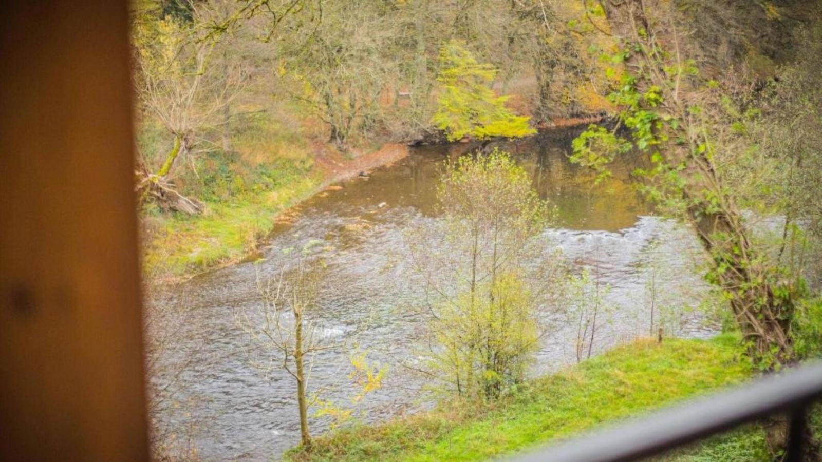 Vue sur Ourthe-Vue d'été