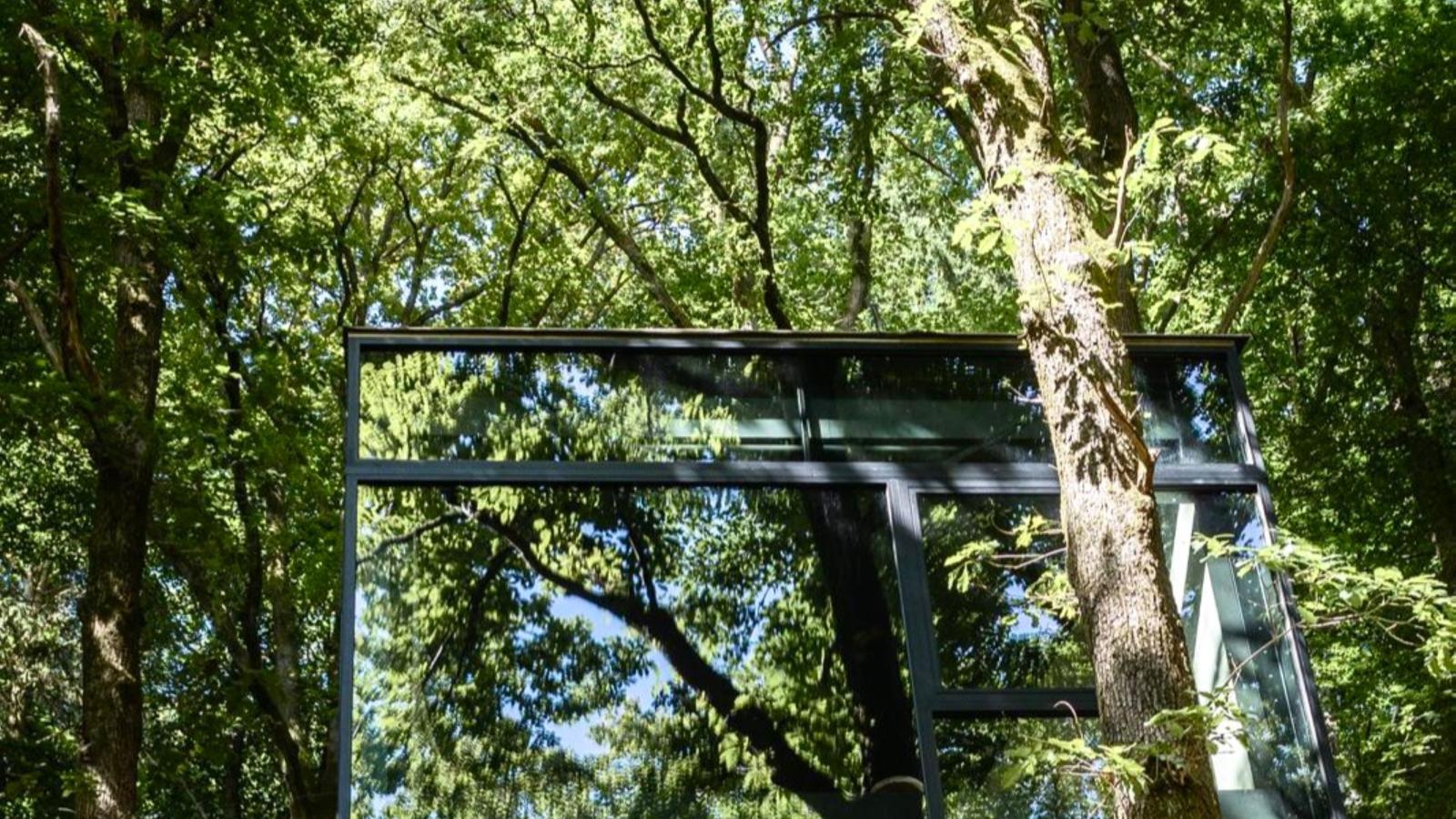 Cabane dans les arbres-Extérieur été