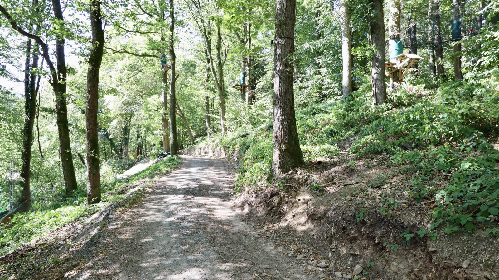 Cabane dans les arbres - Areas within 1km in summer