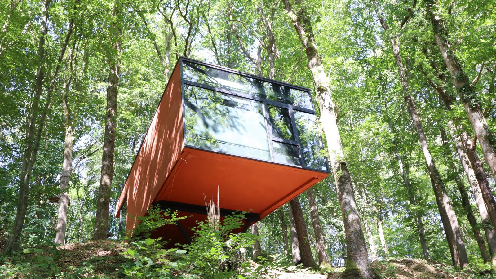 Cabane dans les arbres