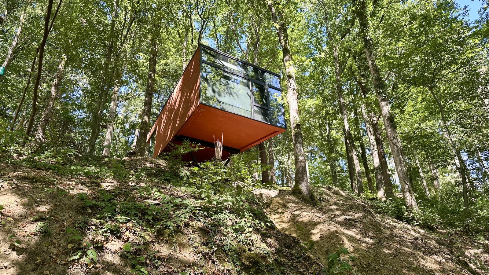 Cabane dans les arbres