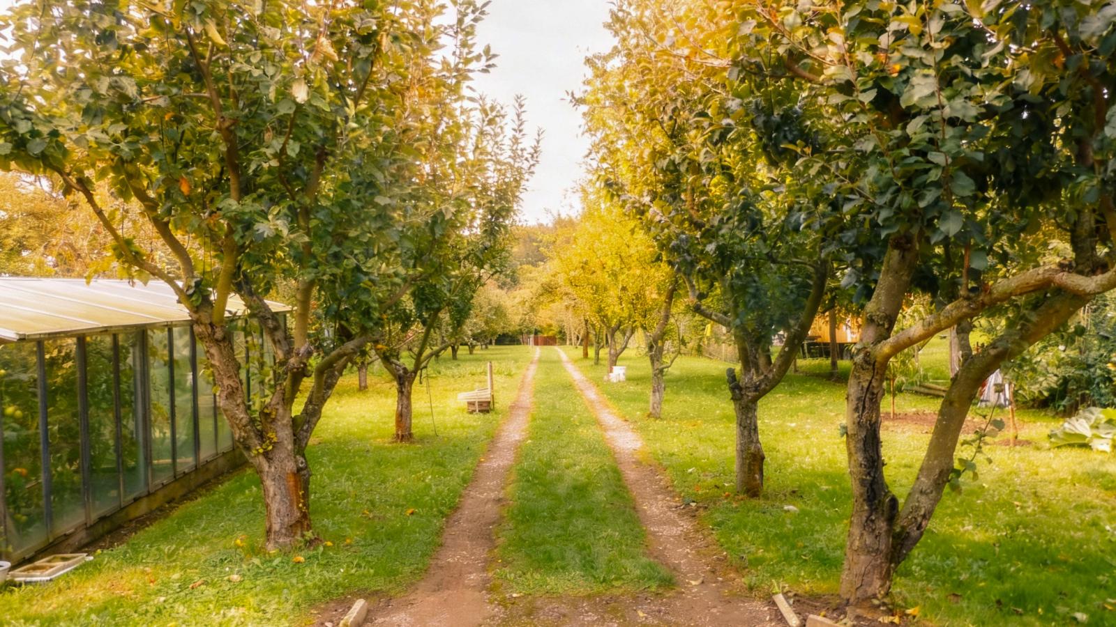 Im Harz-Garten Sommer