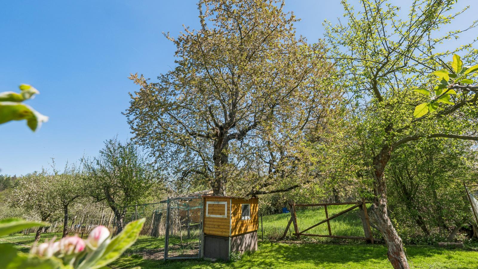Im Harz - Tuinen zomer