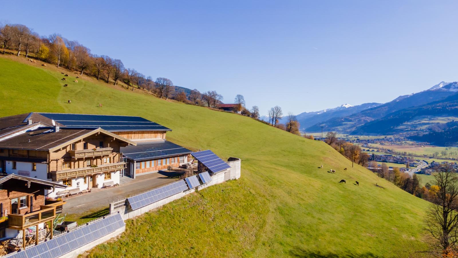 Grünbichel Hof II-Exterior in summer