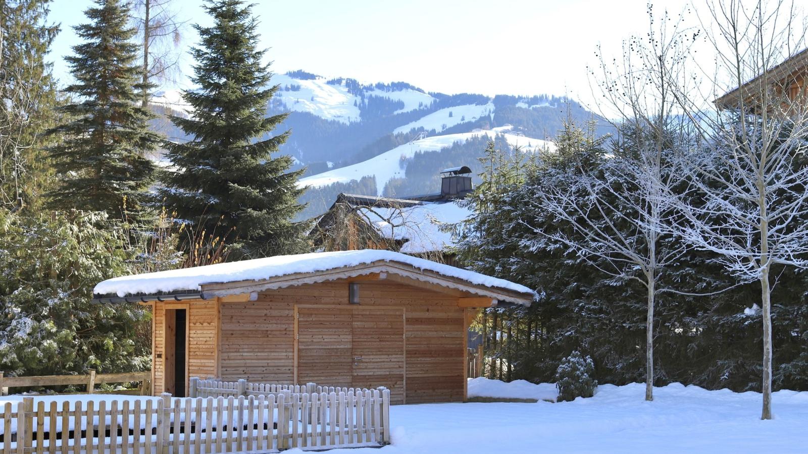 Luxury Central Kirchberg-Garden winter