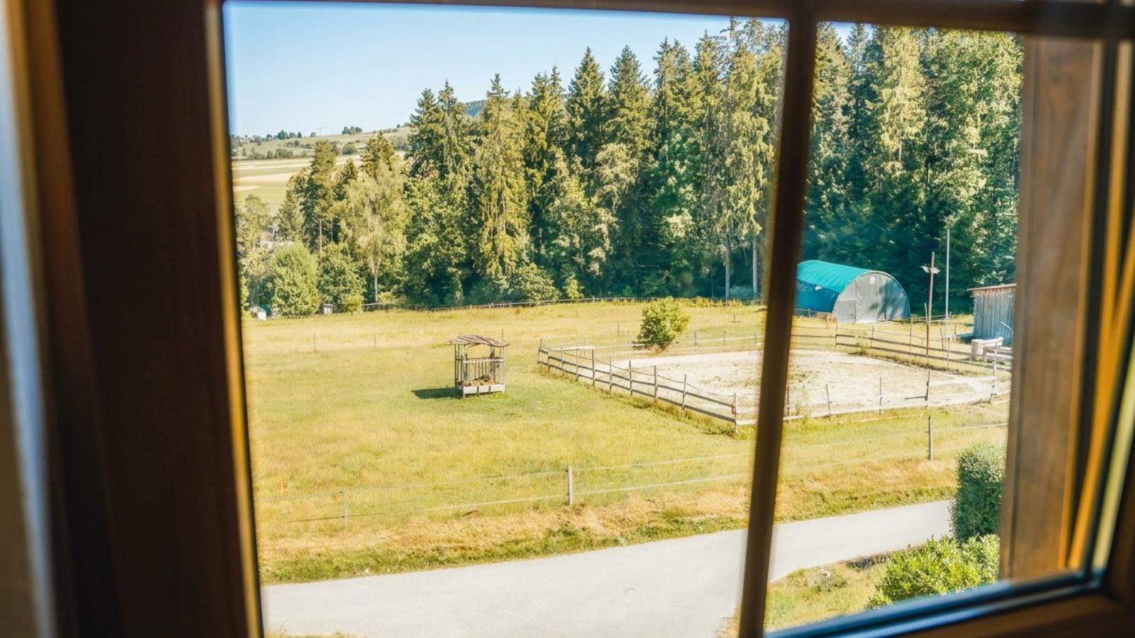 Waldacher Hof - Uitzicht zomer