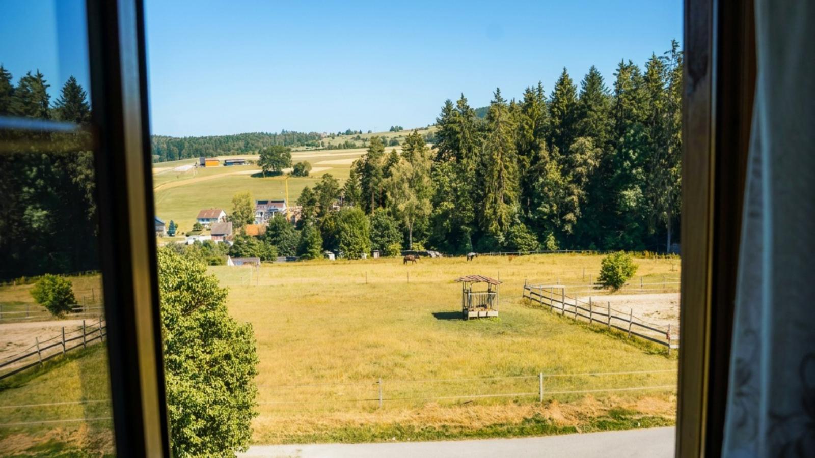 Waldacher Hof - Uitzicht zomer