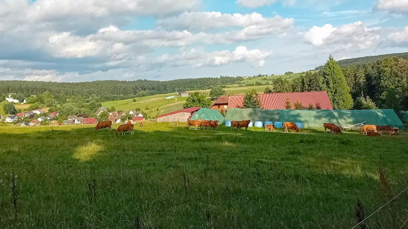 Waldacher Hof-Faciliteiten
