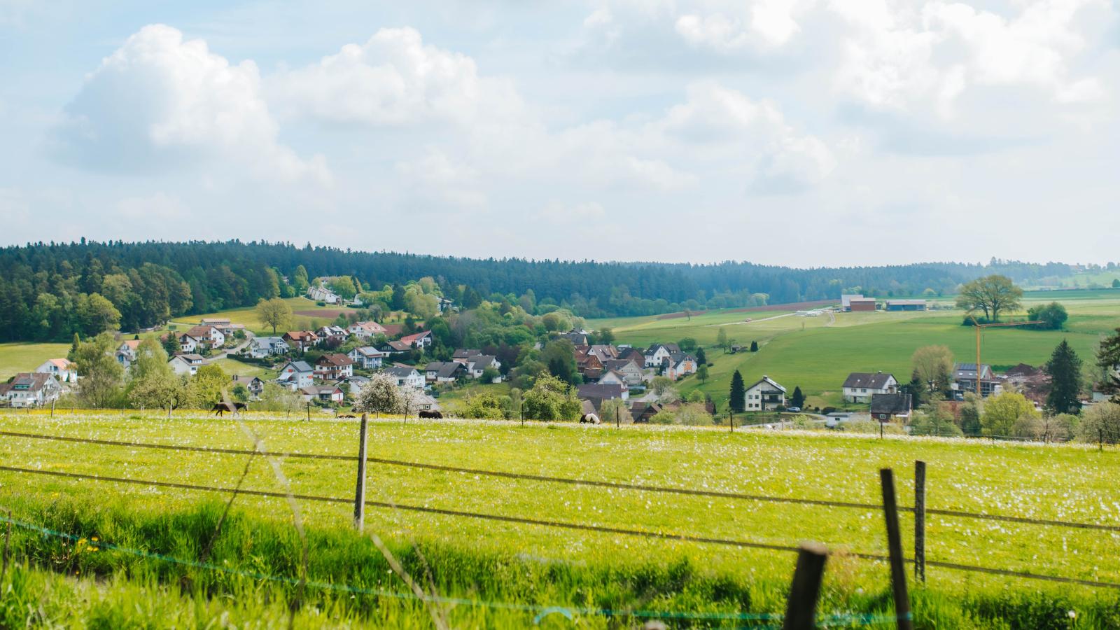 Waldacher Hof - Uitzicht zomer