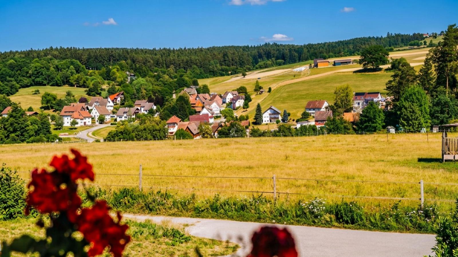 Waldacher Hof - Uitzicht zomer