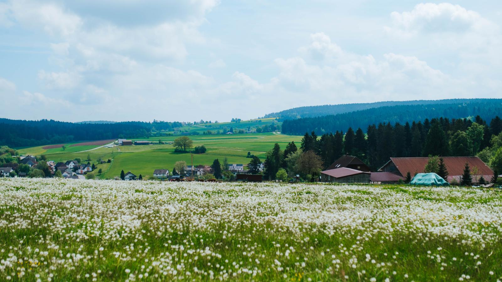 Waldacher Hof - Gebieden zomer 1km