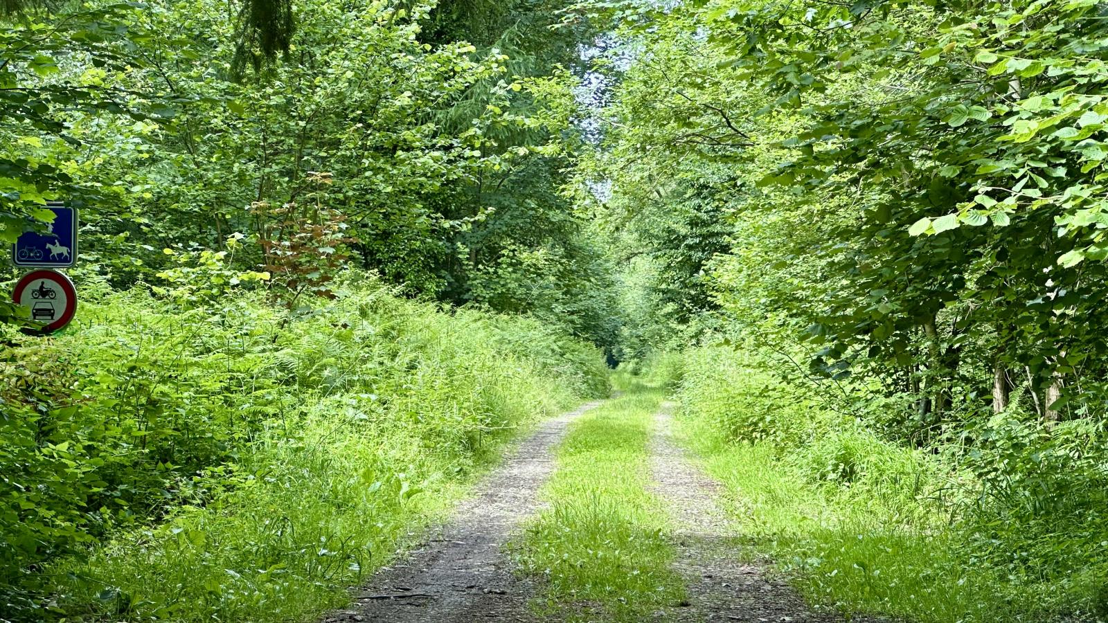 Relais de Zoé - Gebieden zomer 1km
