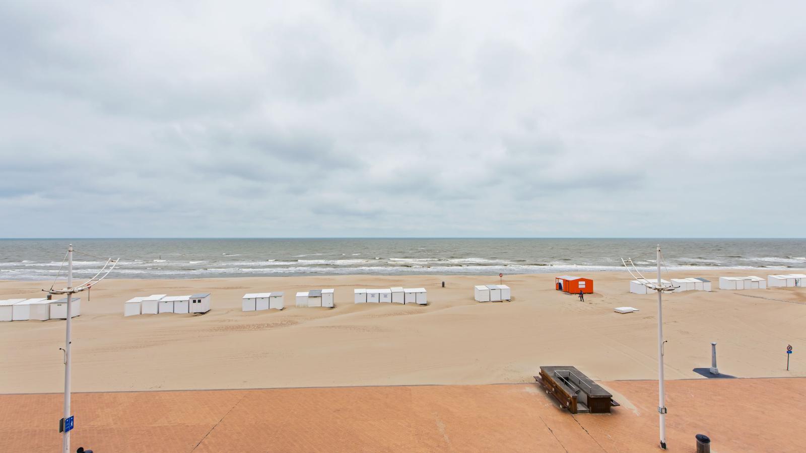 De Meeuwen derde