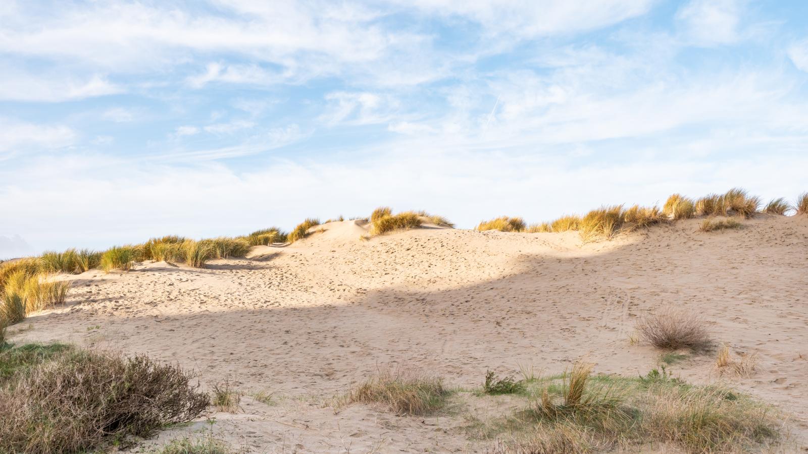 Manderley tweede-Uitzicht zomer