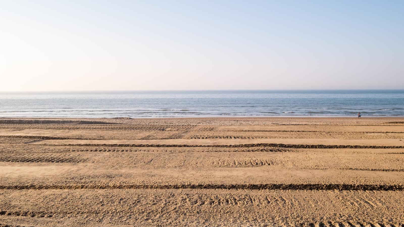 Neva cinq-Gebieden zomer 1km