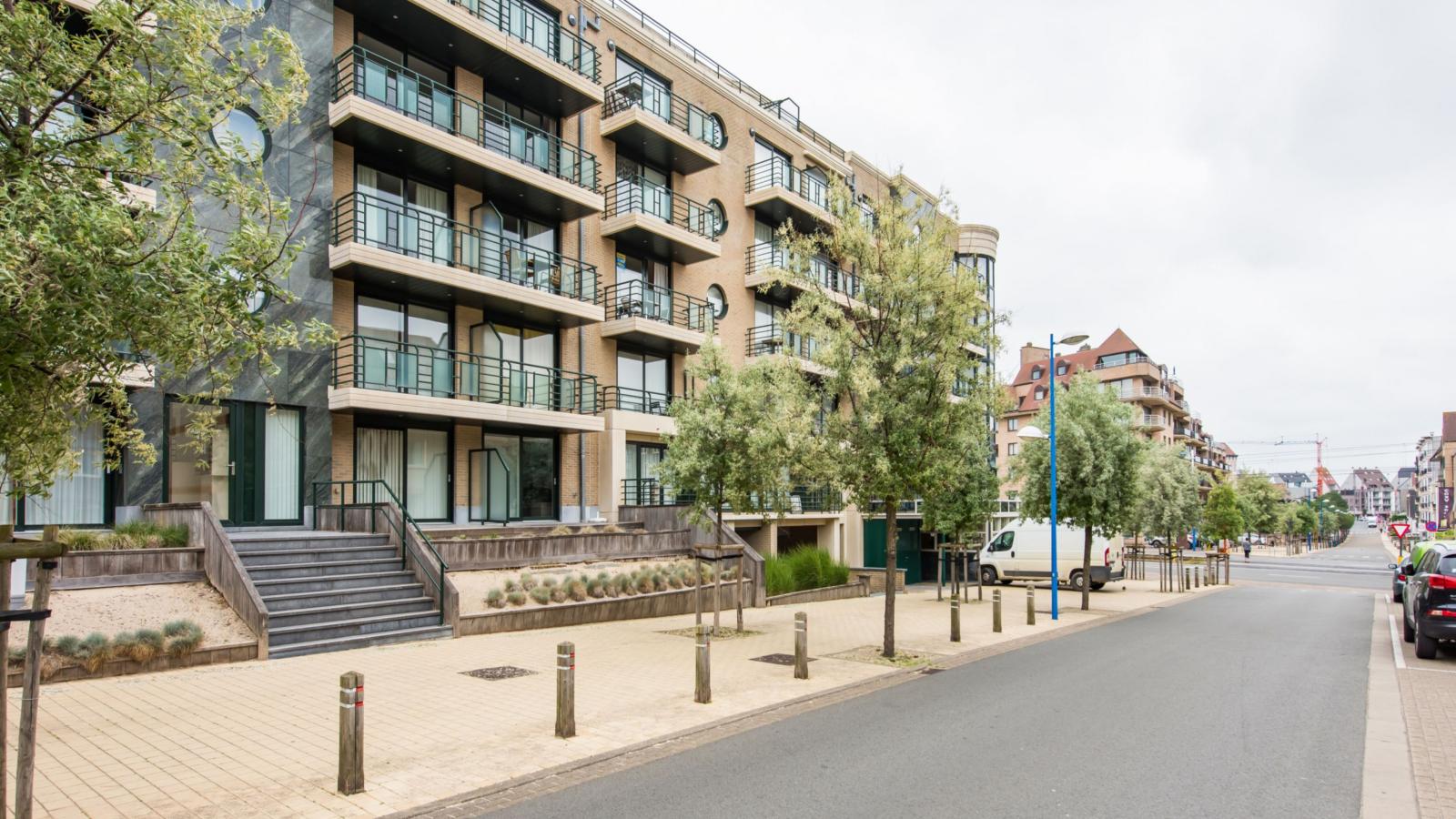 Paco derde-Buitenkant zomer