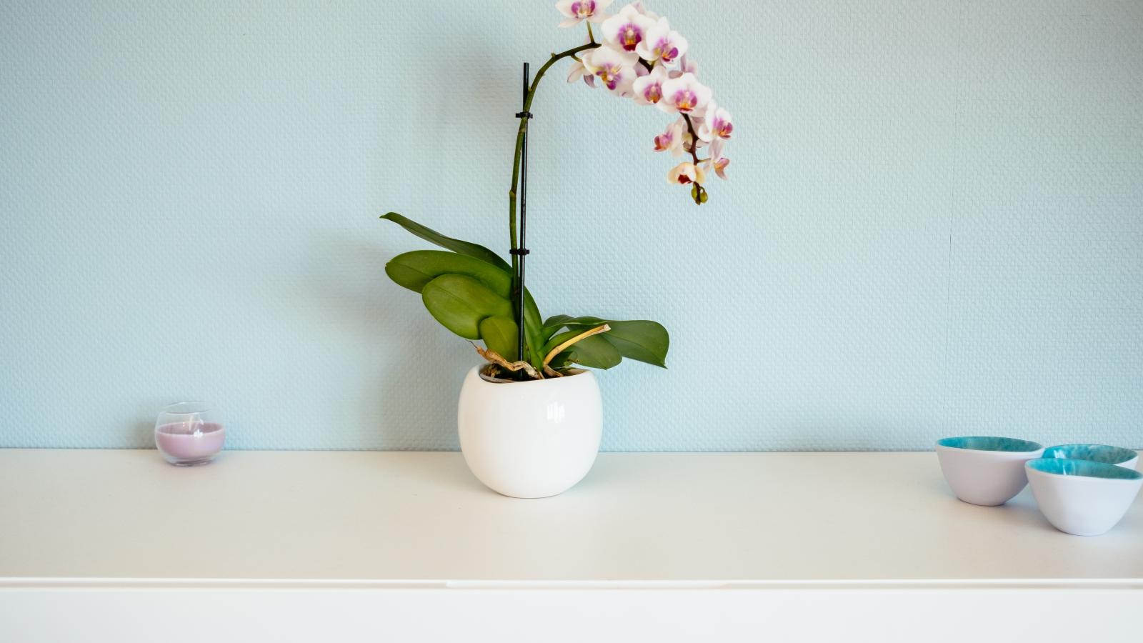 La Plage cinq-Keuken