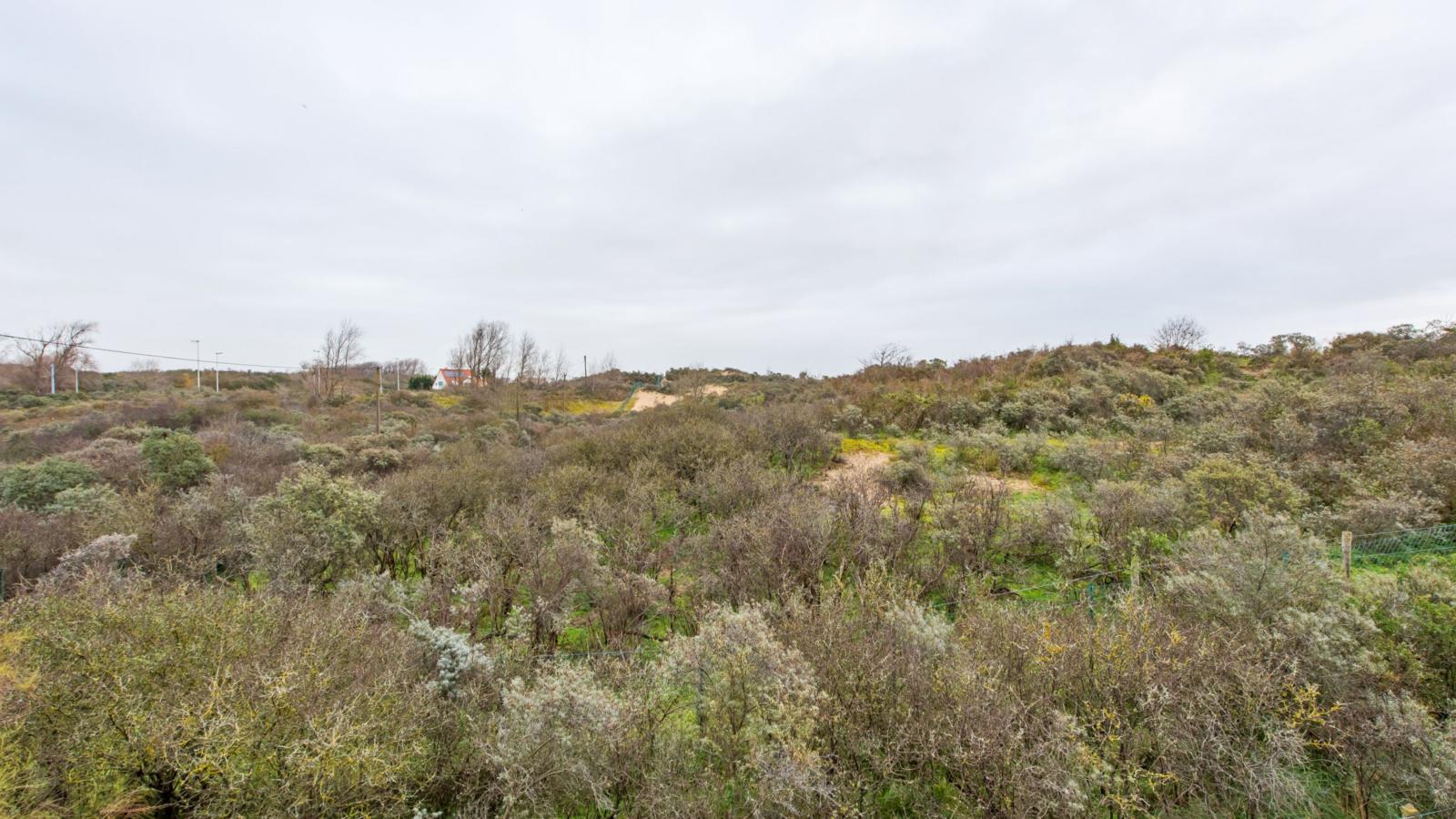 Le Cozy-Aussicht Sommer