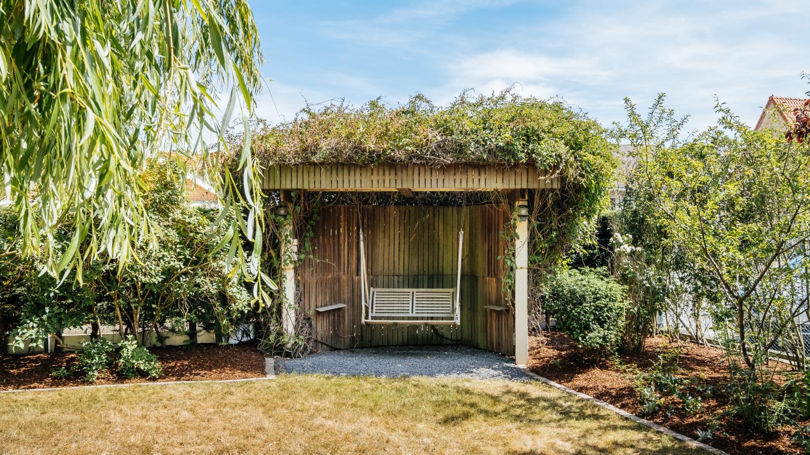 Porpoises-Gardens in summer