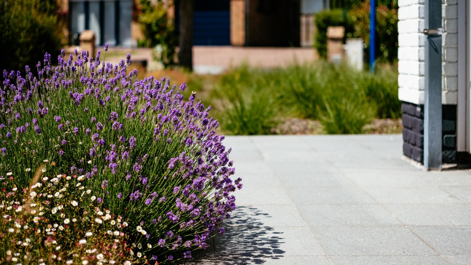 Guillaume-Terrasse/Balkon